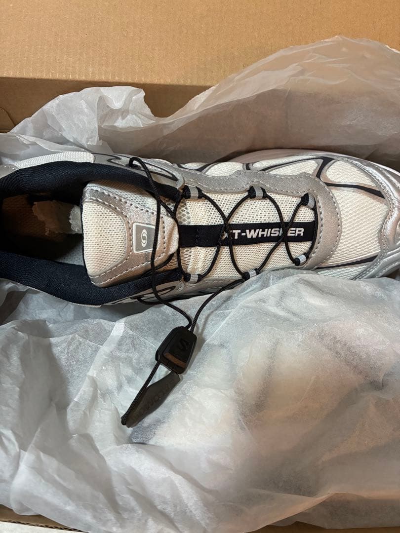 Salomonサロモン　XT―WHISPER シルバースニーカー