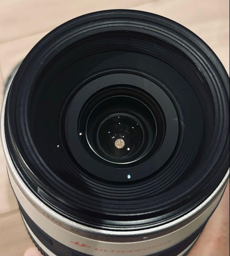 キャノン Canon EF28-300mm F3.5-5.6L IS USM