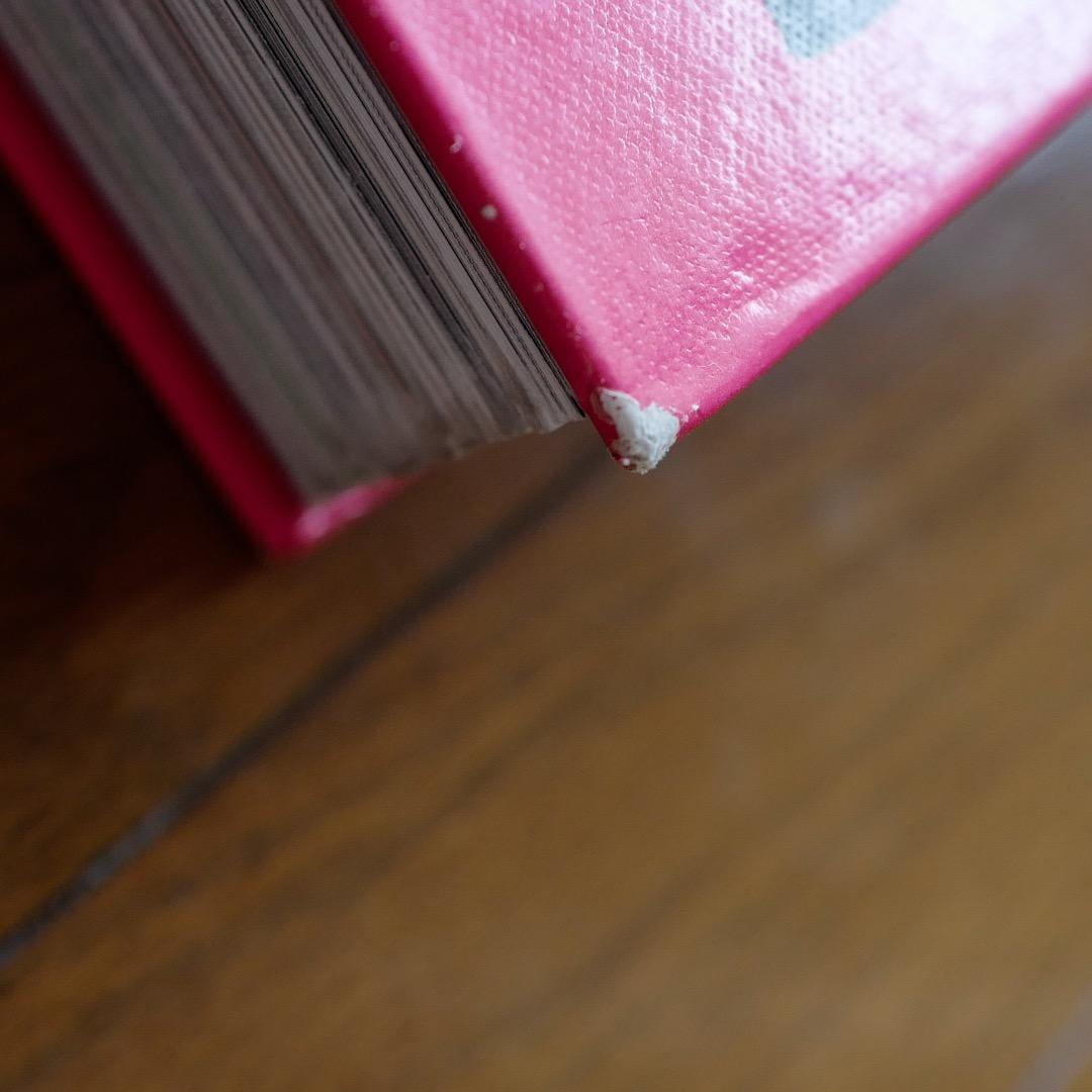 アート・デザイン・音楽 Keith Haring (Rizzoli Classics) 2008