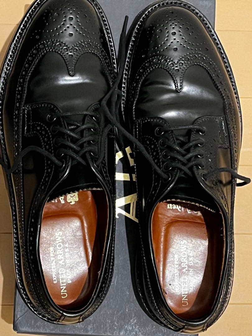 Alden コードバン ロングウイングチップ 8D