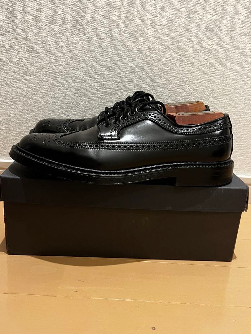 Alden コードバン ロングウイングチップ 8D