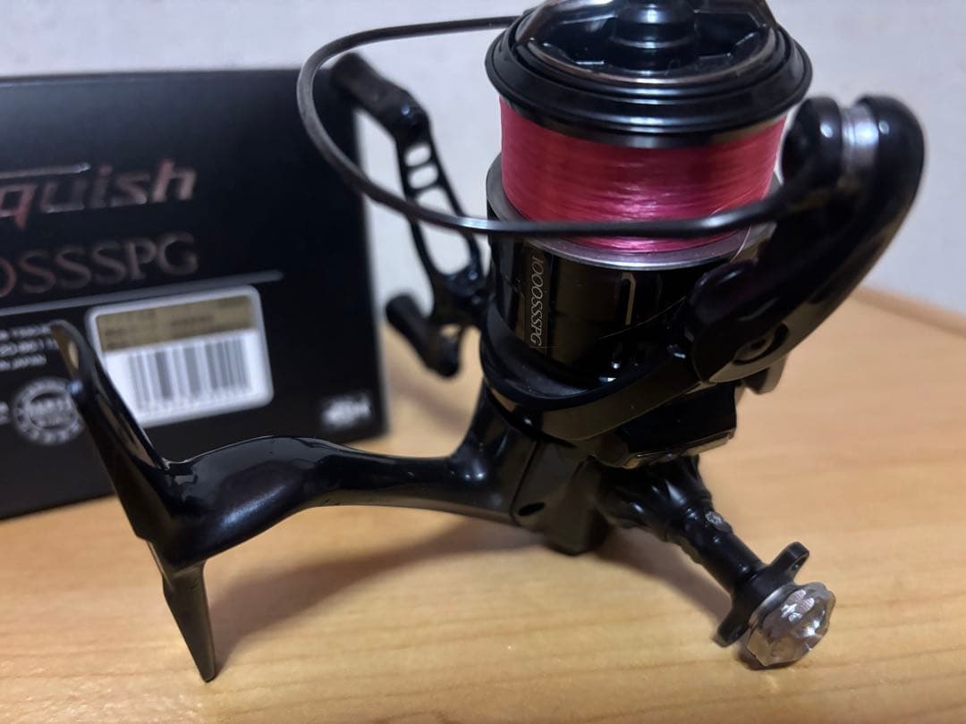 19ヴァンキッシュ1000SSSPG