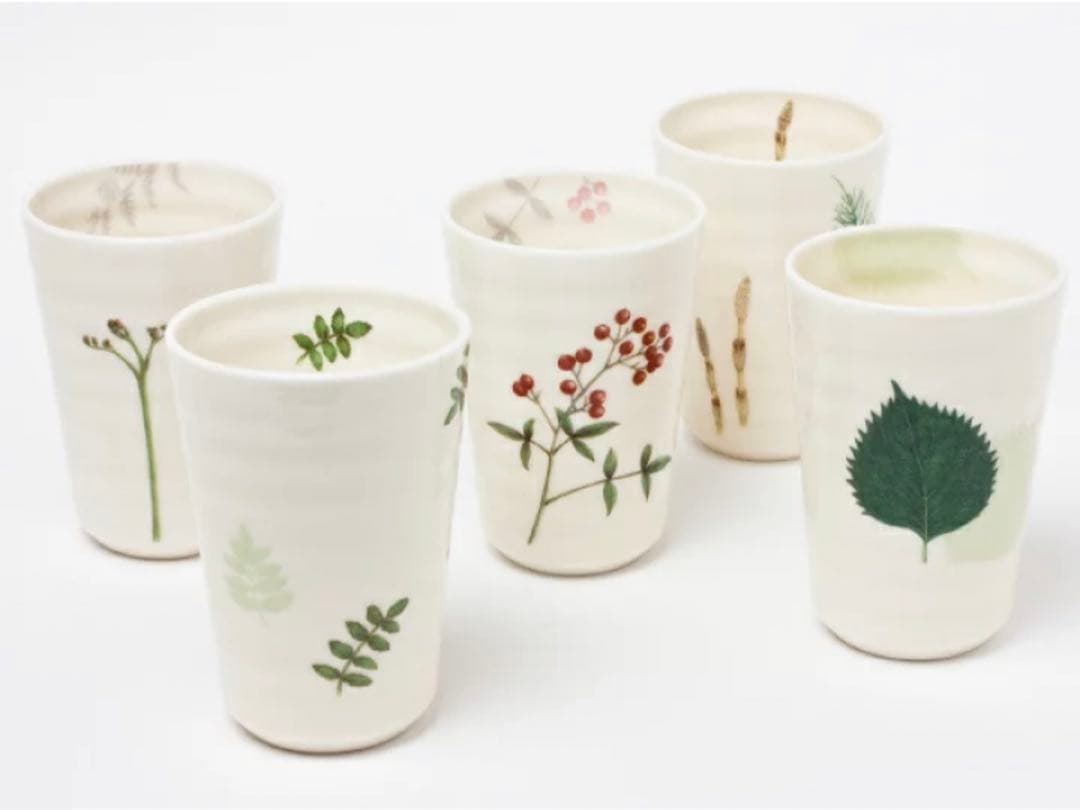 大内順子　おもてなしの器　フリーカップ　5客セット