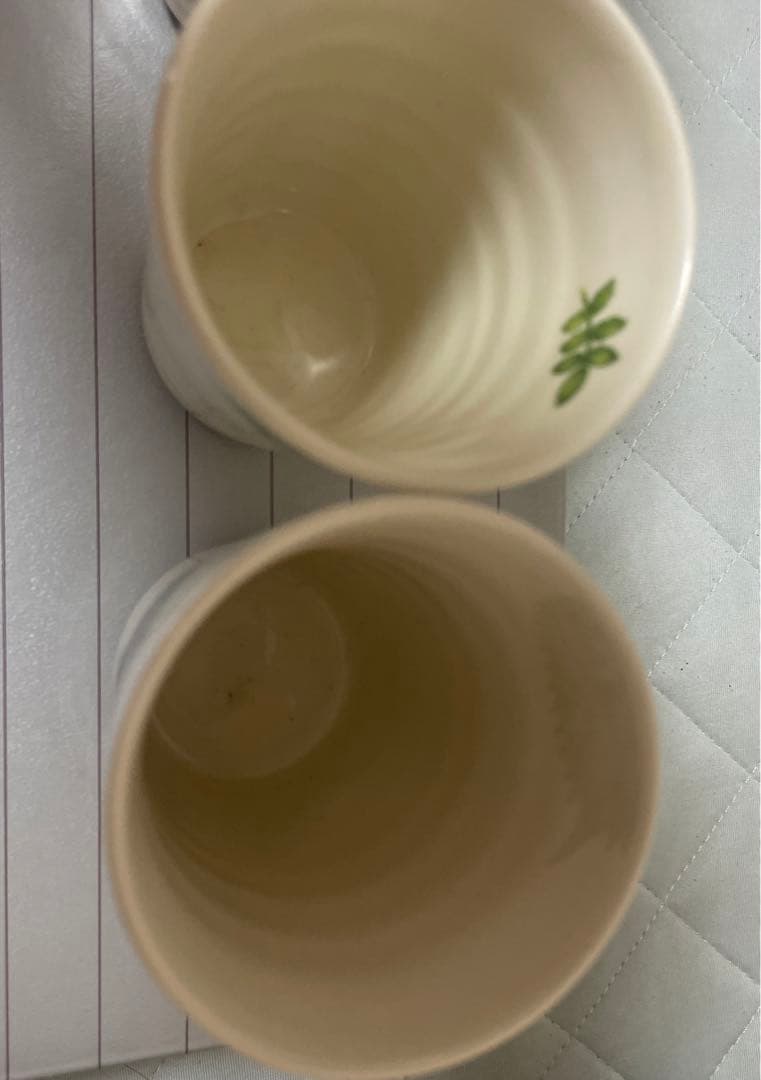 大内順子　おもてなしの器　フリーカップ　5客セット