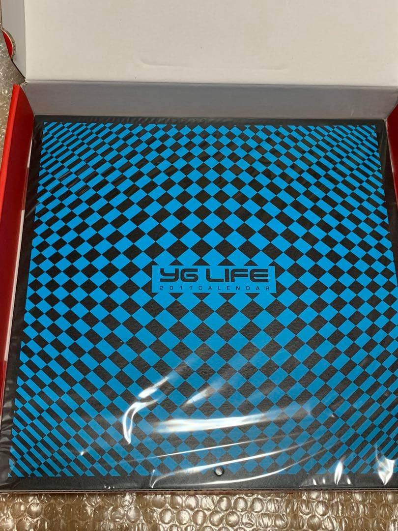 BIGBANG YG FAMILY メイキングDVD カレンダーセット2NE1