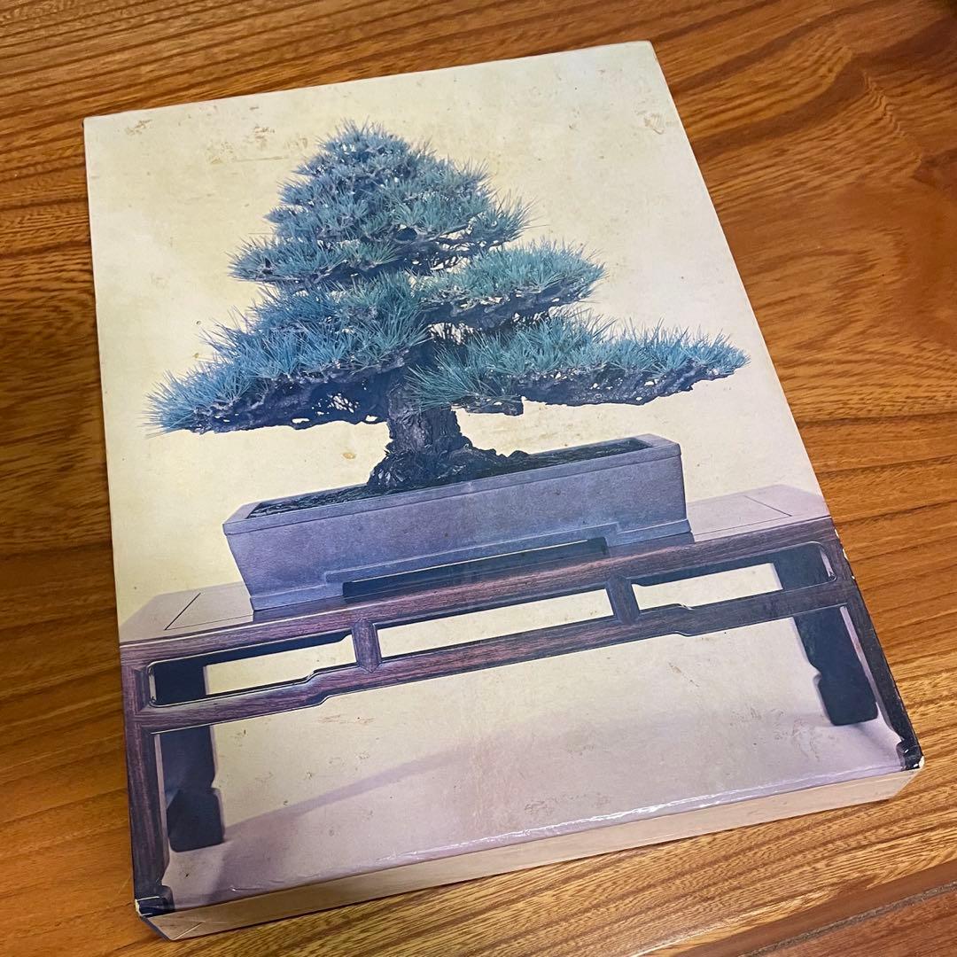 松柏盆栽大観 BONSAI MASTERPIECES OF CONIFERS