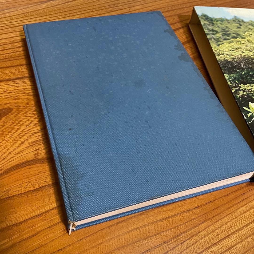 松柏盆栽大観 BONSAI MASTERPIECES OF CONIFERS