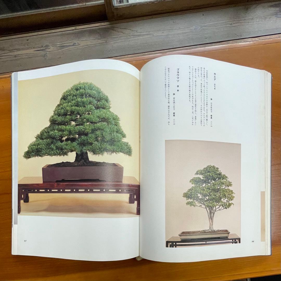 松柏盆栽大観 BONSAI MASTERPIECES OF CONIFERS