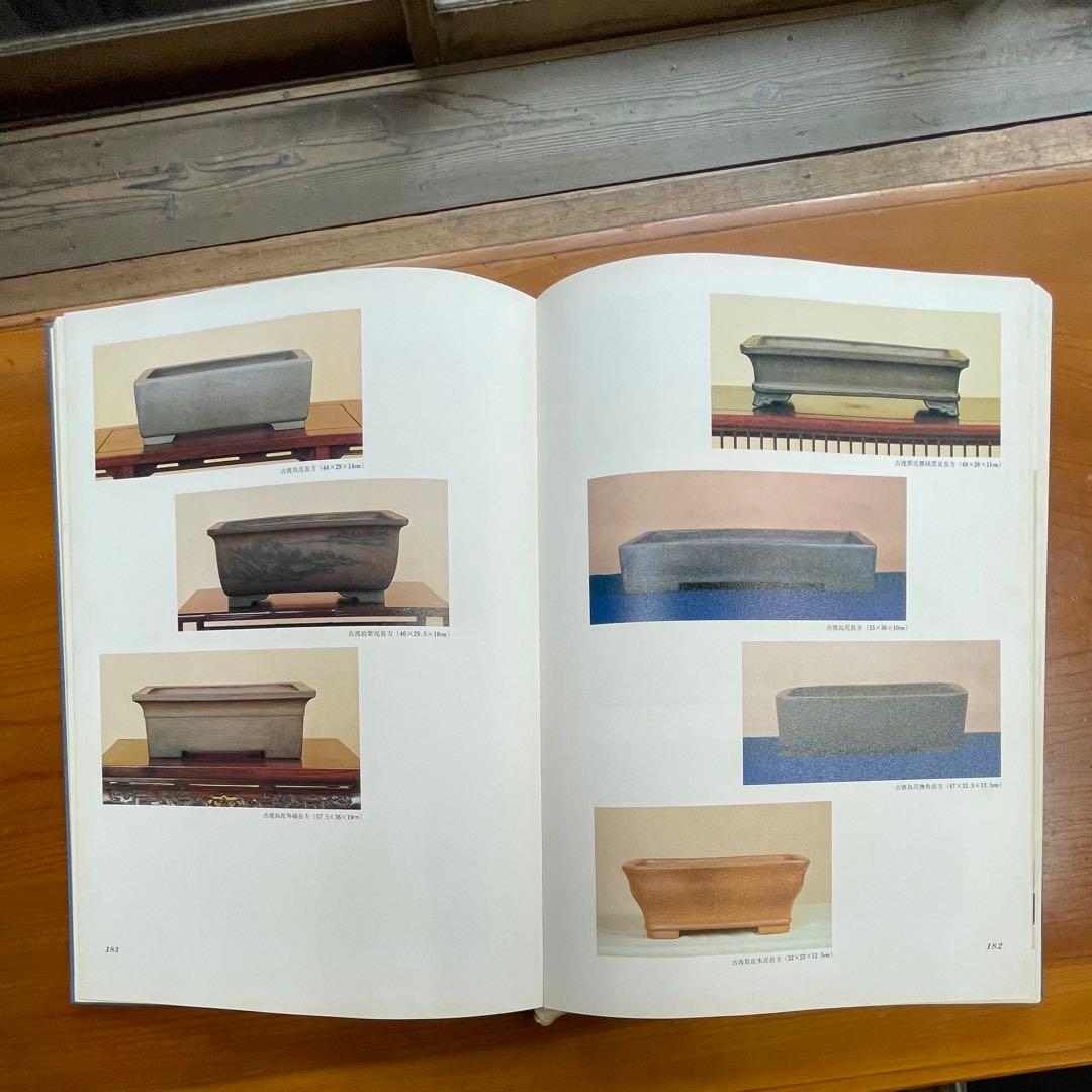 松柏盆栽大観 BONSAI MASTERPIECES OF CONIFERS