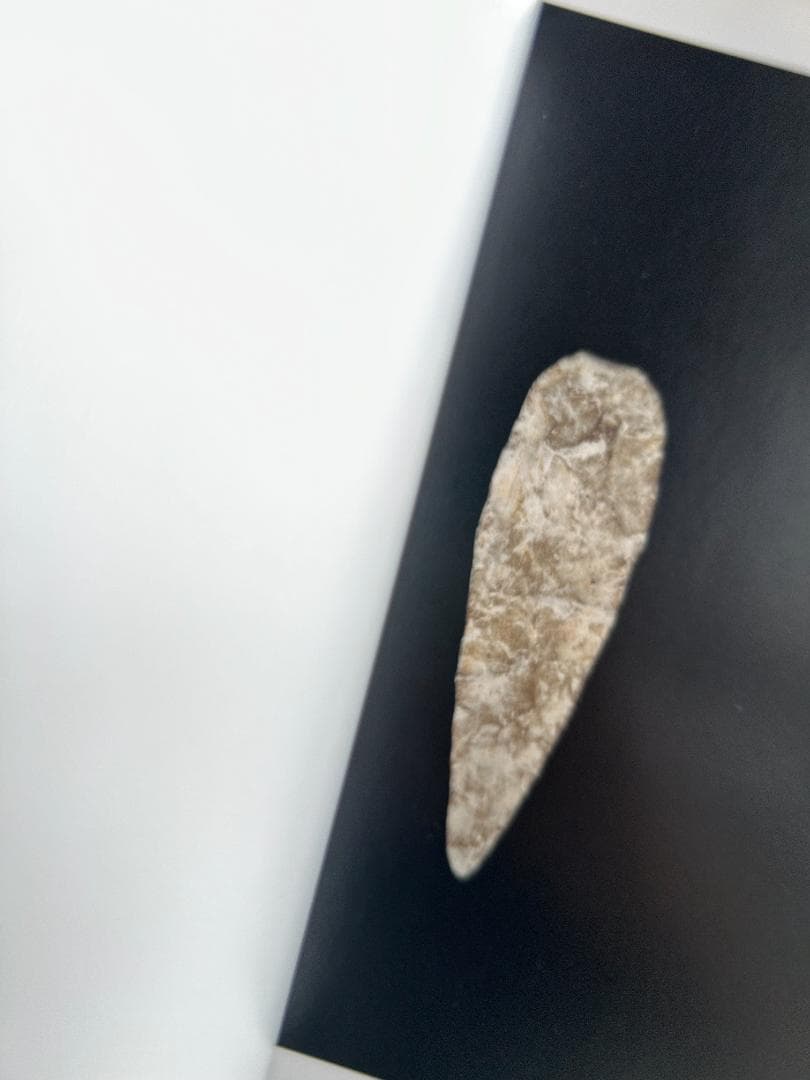 希少本 ONE HUNDRED STONEWARES 上田義彦 西野嘉章 原研哉