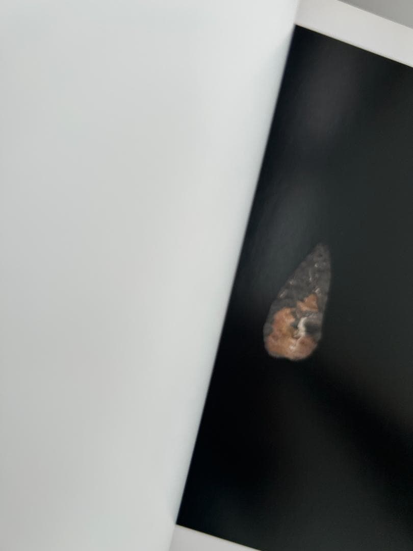 希少本 ONE HUNDRED STONEWARES 上田義彦 西野嘉章 原研哉