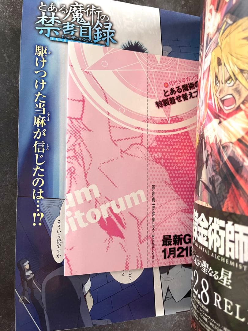●月刊少年ガンガン 2012年 2月号 ●特製着せ替えブックカバー2種 完備