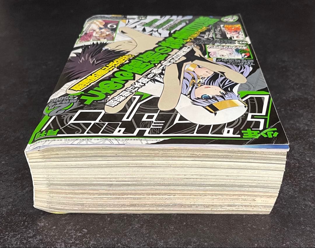 ●月刊少年ガンガン 2012年 2月号 ●特製着せ替えブックカバー2種 完備