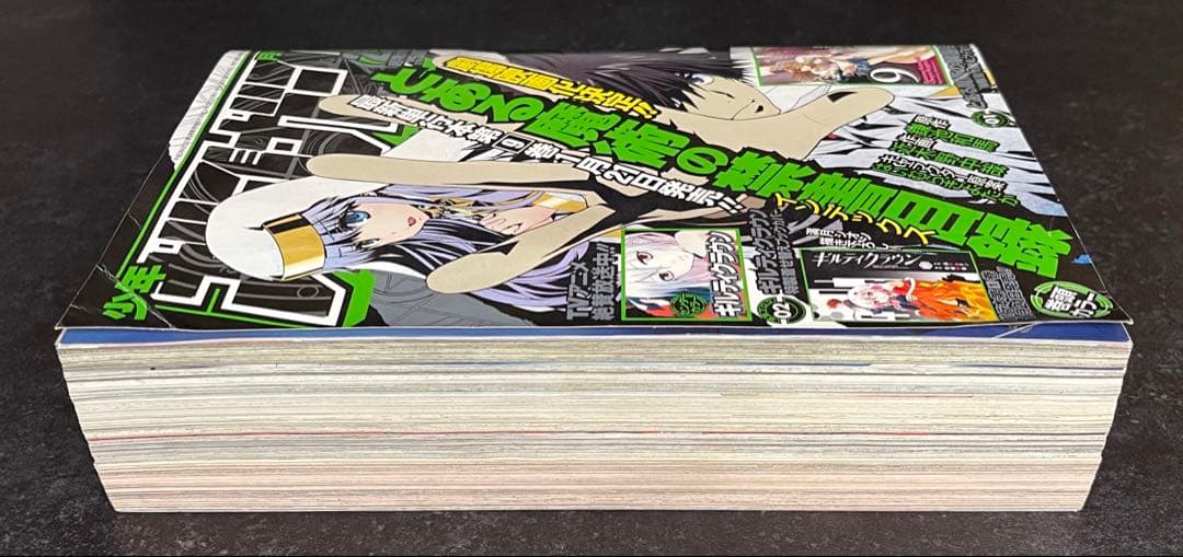 ●月刊少年ガンガン 2012年 2月号 ●特製着せ替えブックカバー2種 完備