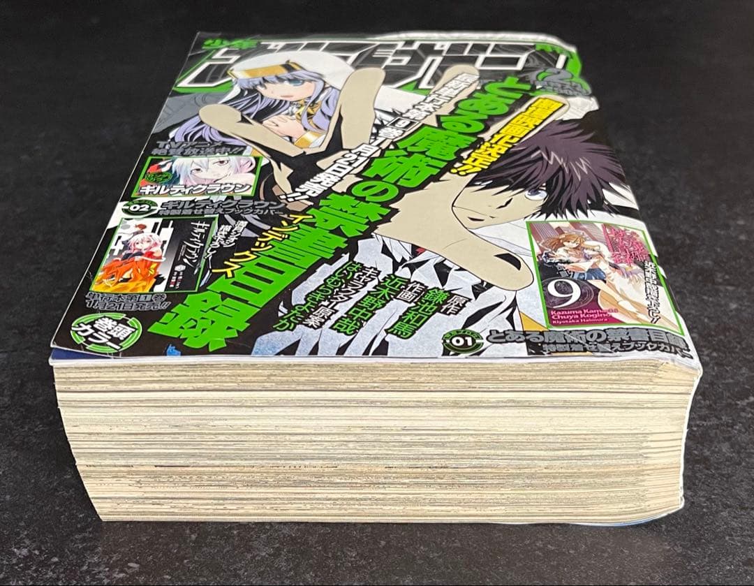 ●月刊少年ガンガン 2012年 2月号 ●特製着せ替えブックカバー2種 完備