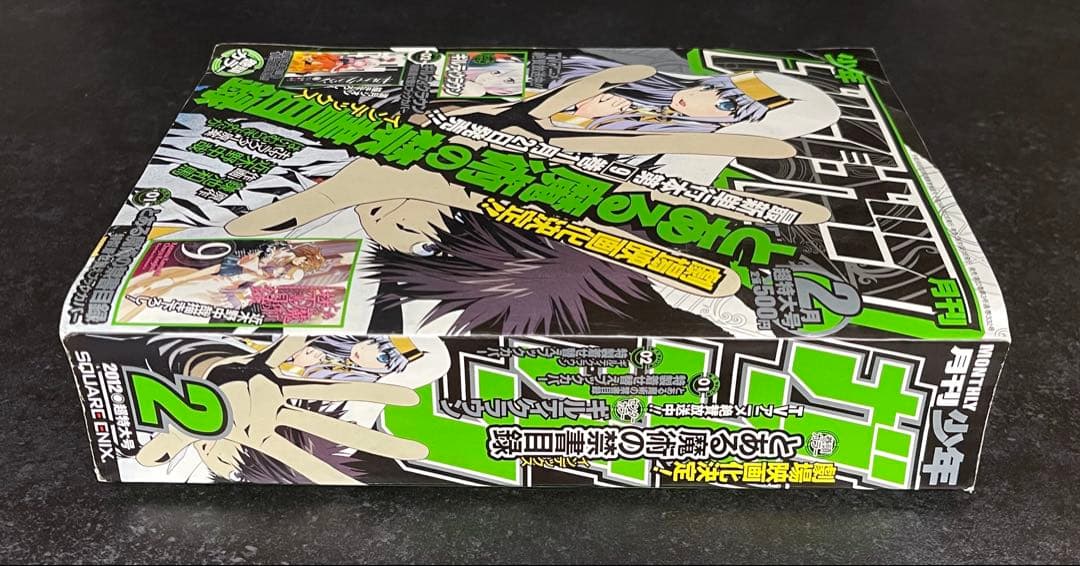 ●月刊少年ガンガン 2012年 2月号 ●特製着せ替えブックカバー2種 完備
