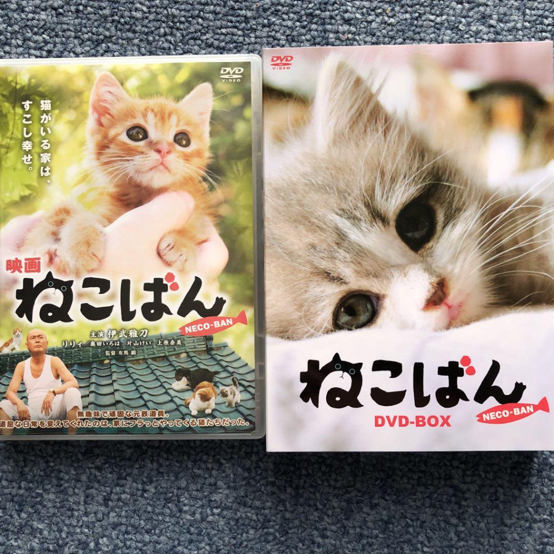 連続テレビドラマ ねこばん DVD-BOX〈4枚組〉＋映画