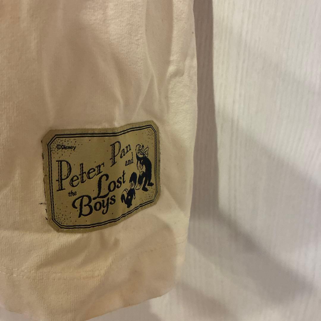 ZARA x Disney 長袖カットソー L ピーターパン　ナナ　完売品