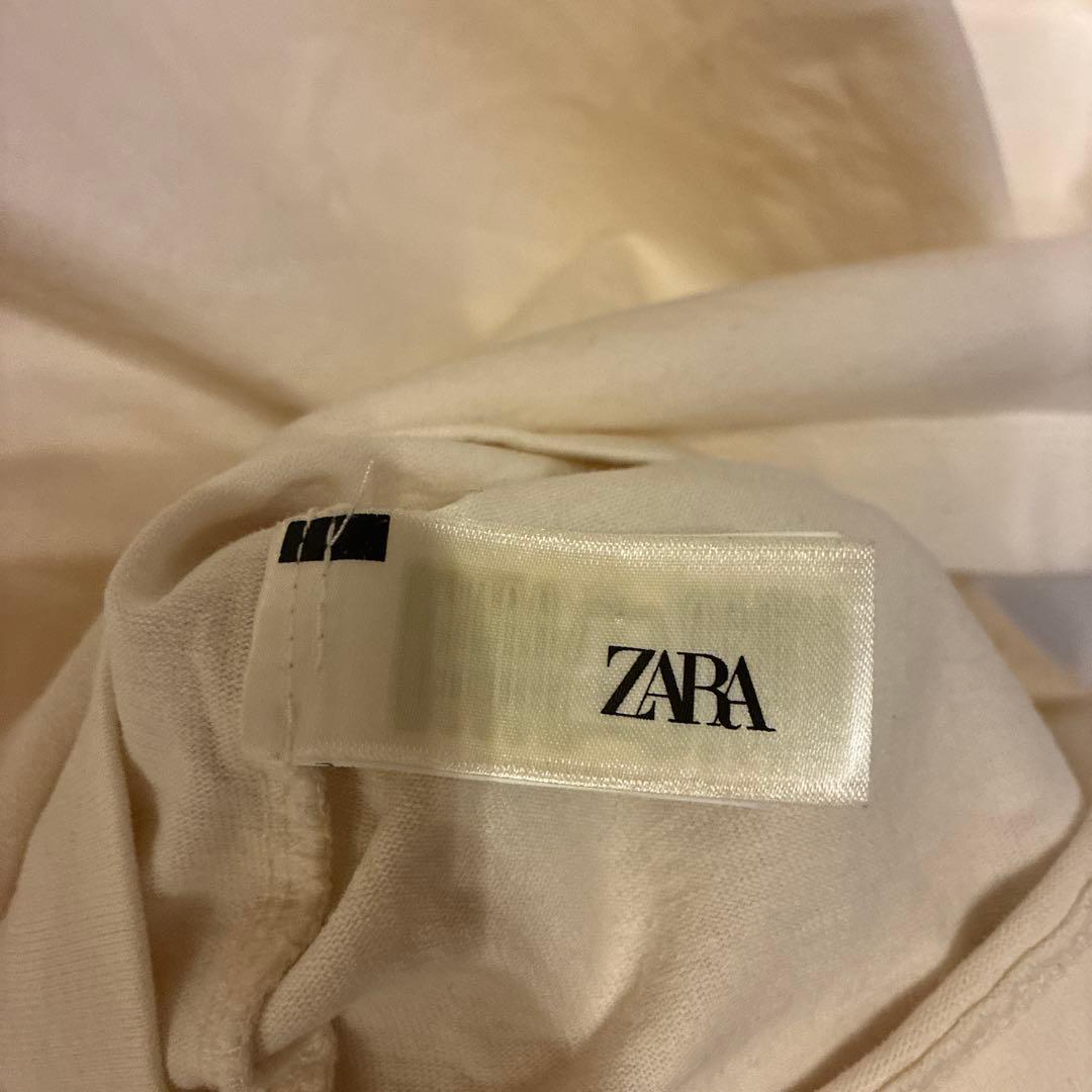ZARA x Disney 長袖カットソー L ピーターパン　ナナ　完売品