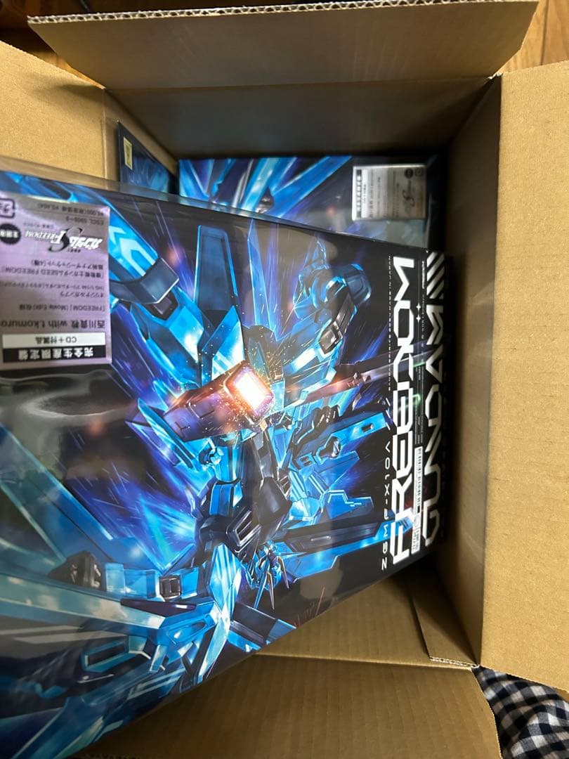 西川貴教 with t.komuro 「FREEDOM」完全生産限定盤ガンプラ付