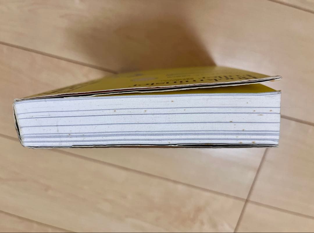 宇宙エコロジー : バックミンスター・フラーの直観と美