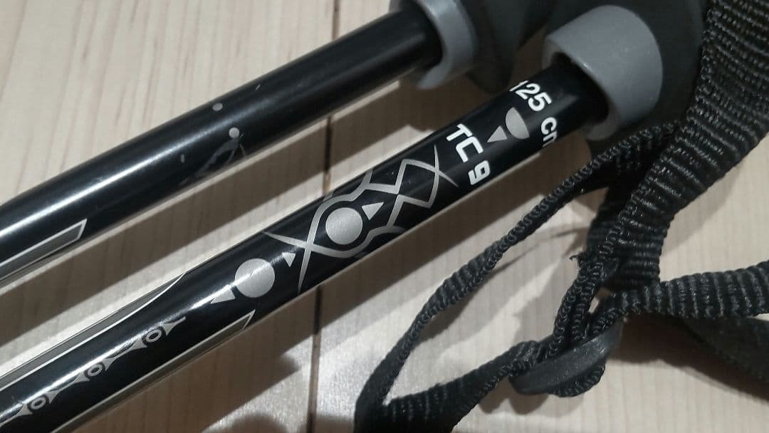 SWIX スウィックス 125ｃｍ Carbon Plus TC9