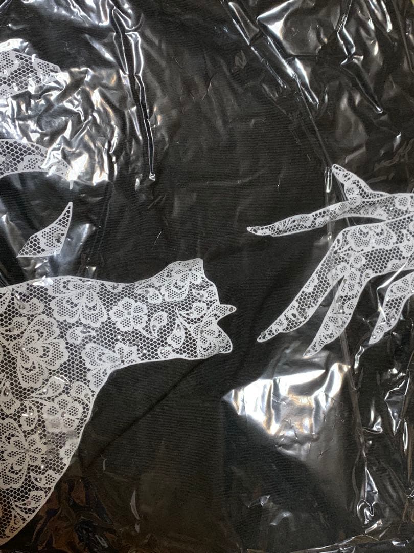 櫻井敦司プロデュースTシャツ　THE DAY IN QUESTION 2017