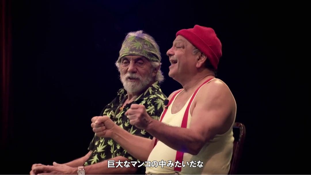 チーチ&チョン cheech&chong hey watch this 大麻