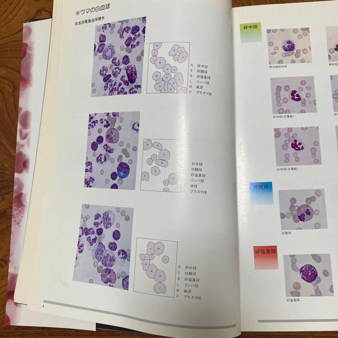家畜血液図説 チクサン出版