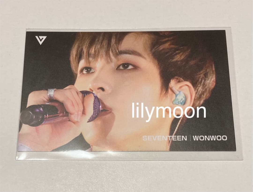 SEVENTEEN セブチ ウォヌ トレカ