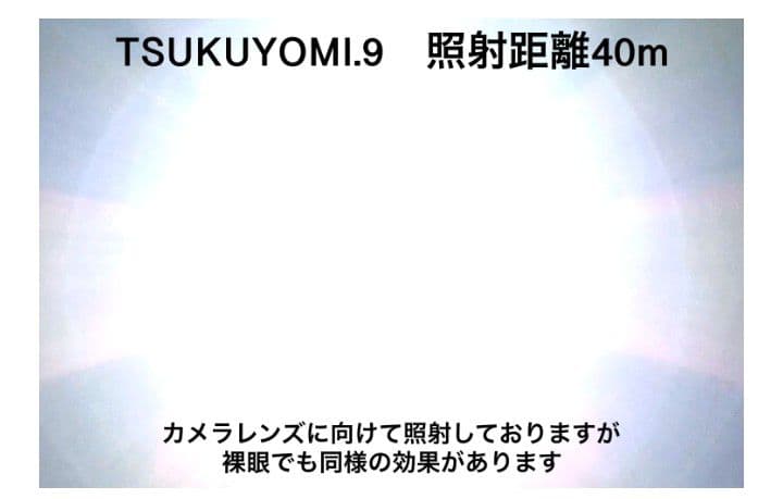 田村装備開発【受注生産品】RAYGEARS-TSUKUYOMI.9（VR.3）