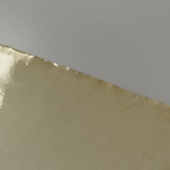 【超貴重】 PICASSO MON AMI / LUCIEN CLERGUE