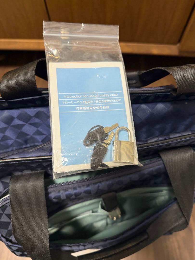 ACE カナナプロジェクトマイトローリー キャリー　旅行　静音