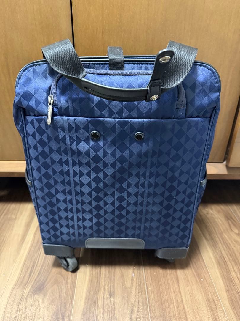 ACE カナナプロジェクトマイトローリー キャリー　旅行　静音