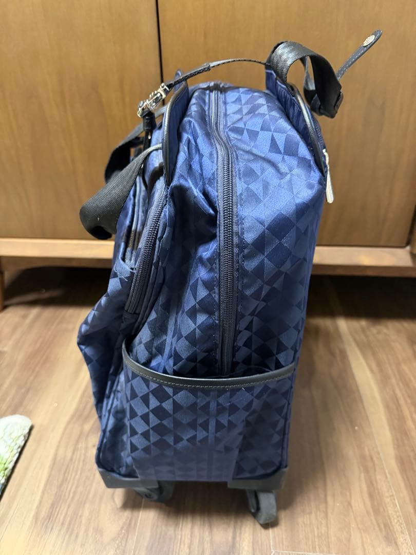 ACE カナナプロジェクトマイトローリー キャリー　旅行　静音