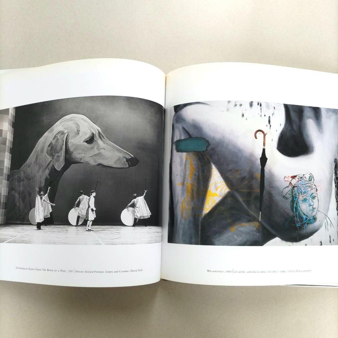 DAVID SALLE:IMMEDIATE EXPERIENCEデビッド・サーレ