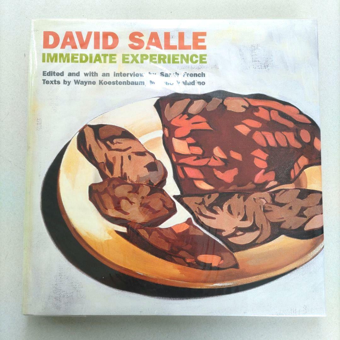 DAVID SALLE:IMMEDIATE EXPERIENCEデビッド・サーレ