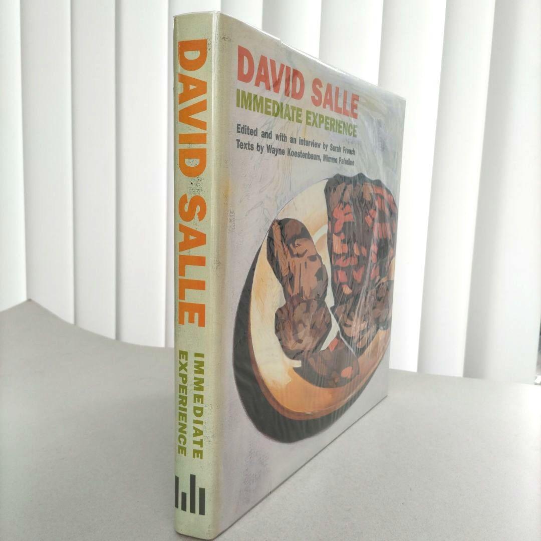 DAVID SALLE:IMMEDIATE EXPERIENCEデビッド・サーレ