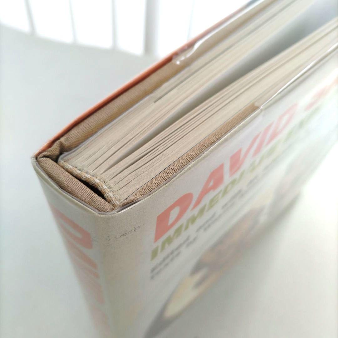 DAVID SALLE:IMMEDIATE EXPERIENCEデビッド・サーレ