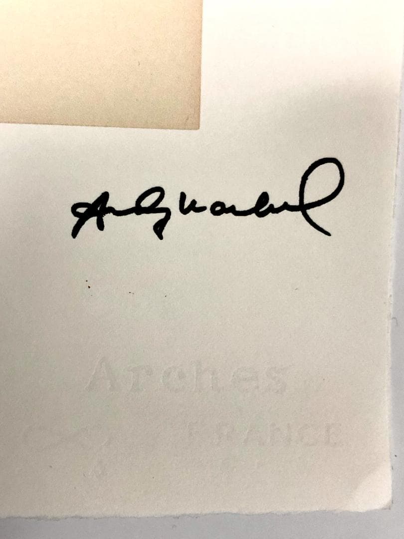 【模写】【限定100部・証明書付】Andy Warhol「Sam（グリーン）」