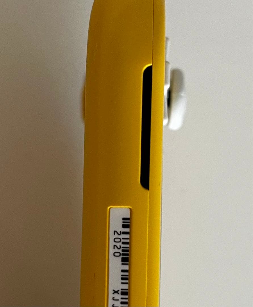 Nintendo Switch Lite本体 +プロコン+充電スタンド