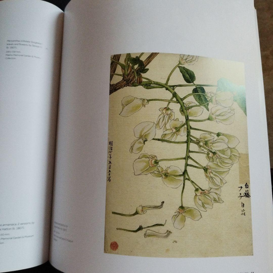 FLORA JAPONICA 日本植物誌　2016年 252P SC