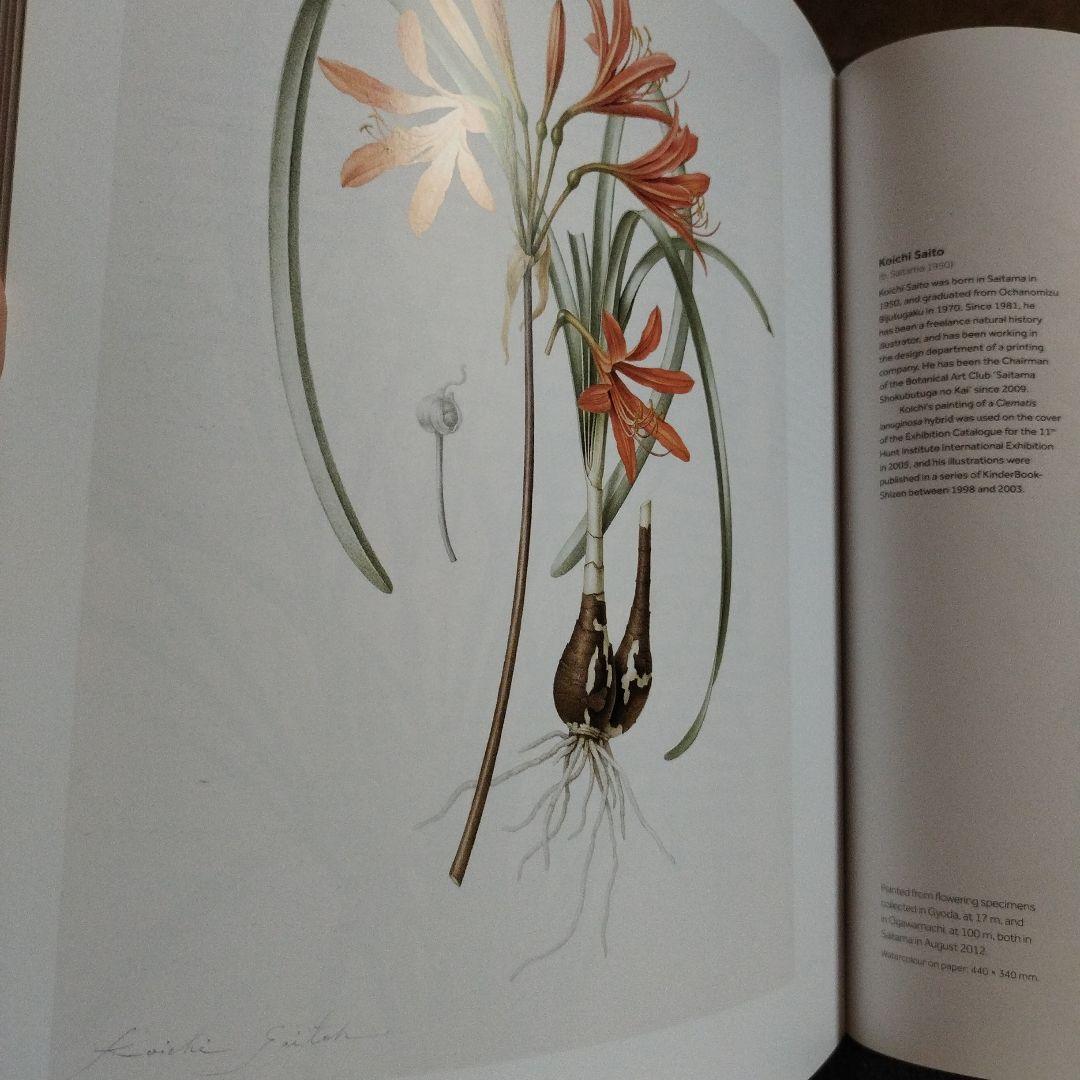 FLORA JAPONICA 日本植物誌　2016年 252P SC