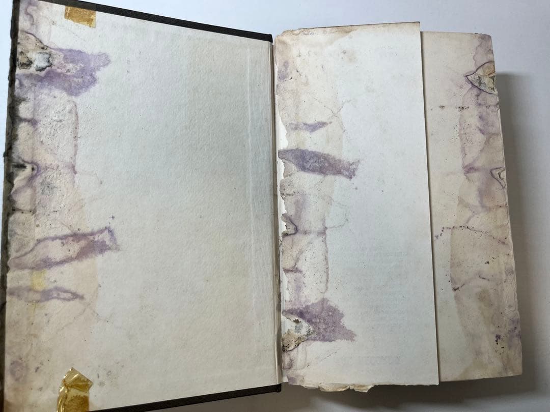 アート・デザイン・音楽 Historical Records: 1898-1908/9