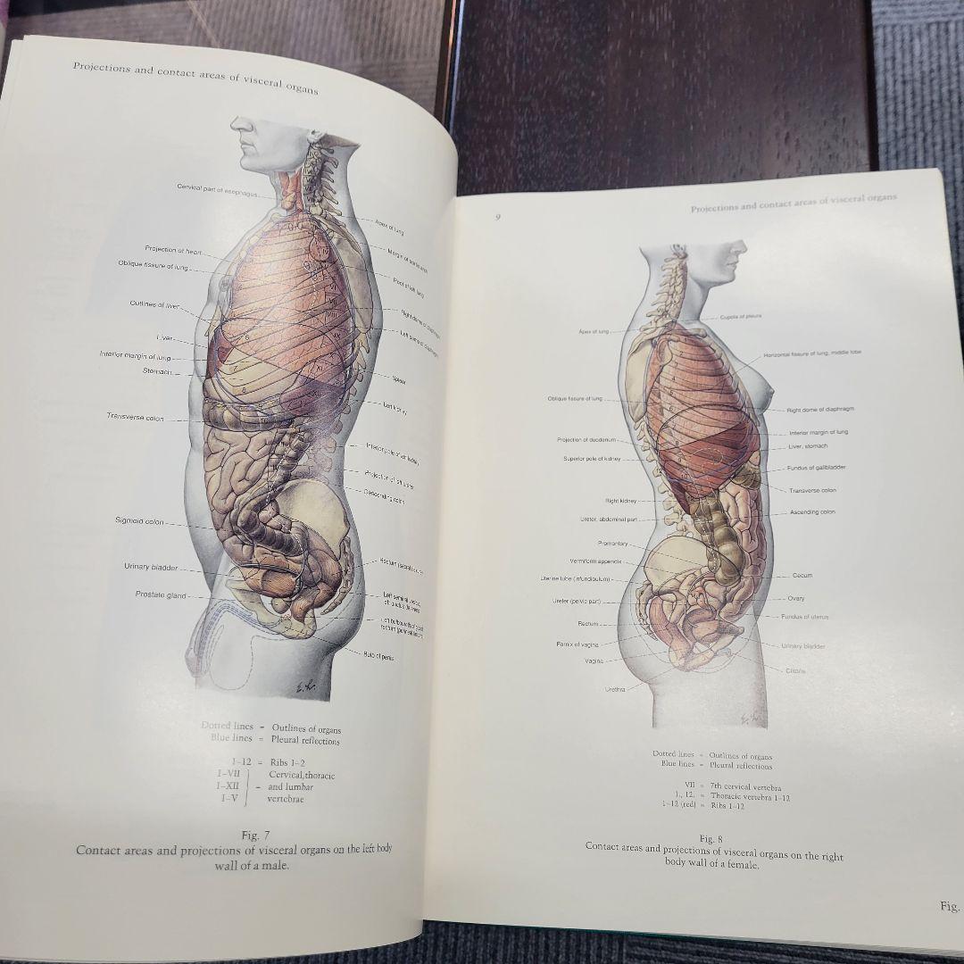 ペルンコップ臨床局所解剖学アトラス 第2巻