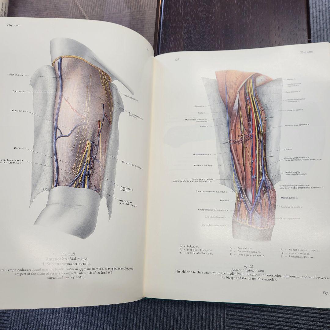 ペルンコップ臨床局所解剖学アトラス 第2巻