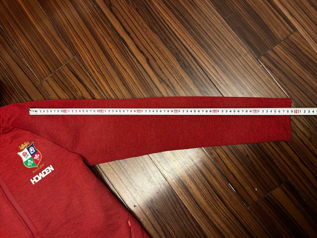 British & Irish Lions 2025 エベレスト　フーディー M