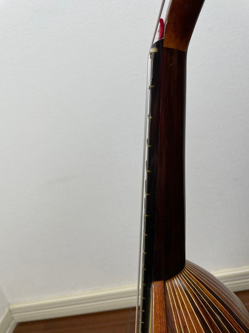 ラファエル・カラーチェ No.26 マンドリン