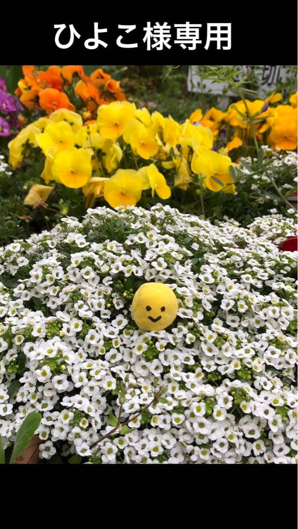 昭和レトロ　少女漫画