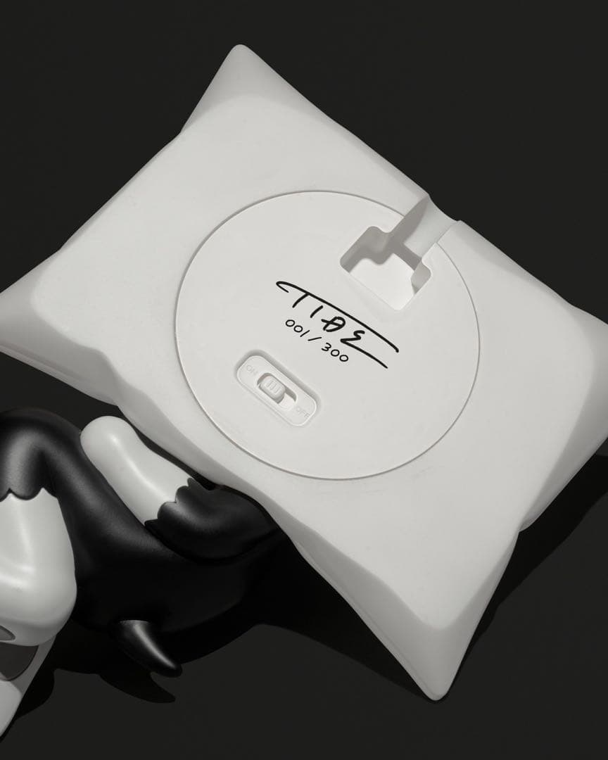 TIDE / Pillow IDE TATSUHIRO イデタツヒロ